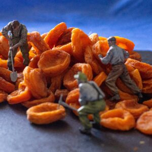 dry apricots.jpg